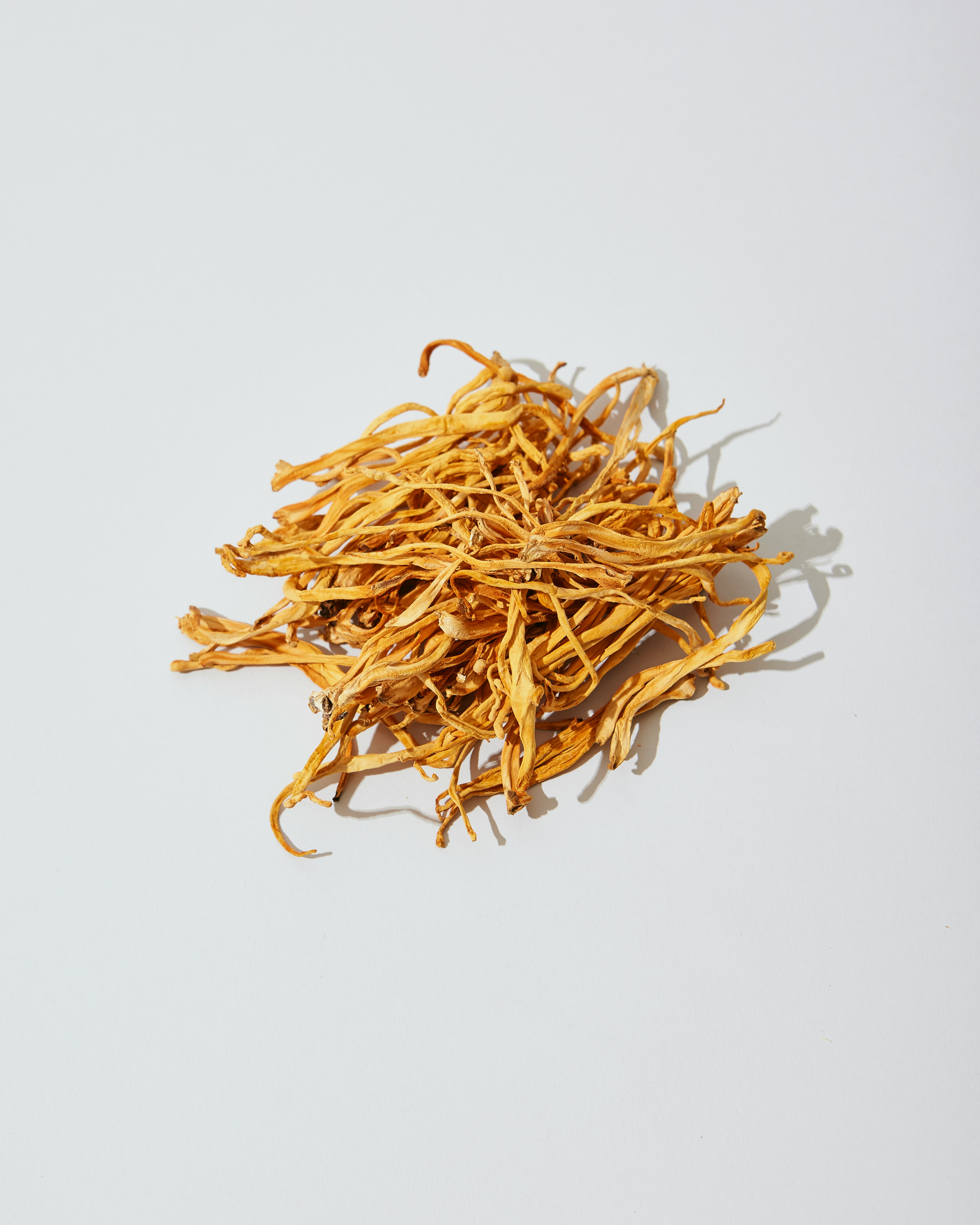 Cordyceps Mushroom Extract